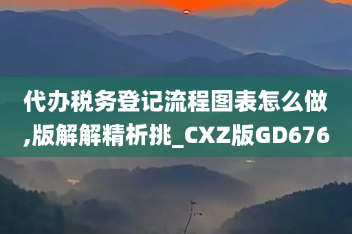 代办税务登记流程图表怎么做,版解解精析挑_CXZ版GD676