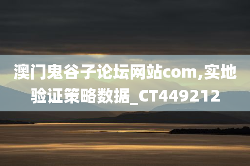 澳门鬼谷子论坛网站com,实地验证策略数据_CT449212