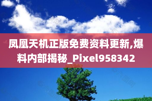 凤凰天机正版免费资料更新,爆料内部揭秘_Pixel958342