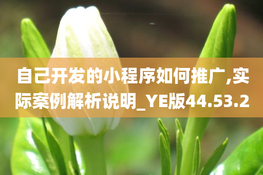 自己开发的小程序如何推广,实际案例解析说明_YE版44.53.20