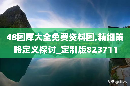 48图库大全免费资料图,精细策略定义探讨_定制版823711