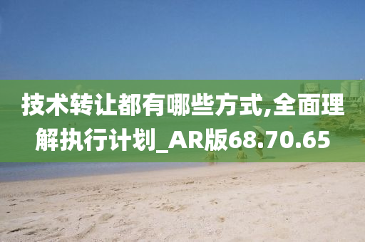 技术转让都有哪些方式,全面理解执行计划_AR版68.70.65