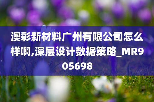 澳彩新材料广州有限公司怎么样啊,深层设计数据策略_MR905698