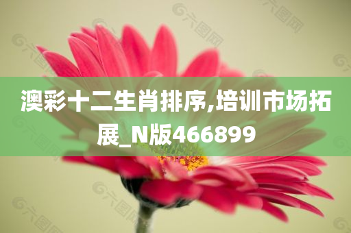 澳彩十二生肖排序,培训市场拓展_N版466899