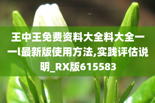 王中王免费资料大全料大全一一l最新版使用方法,实践评估说明_RX版615583