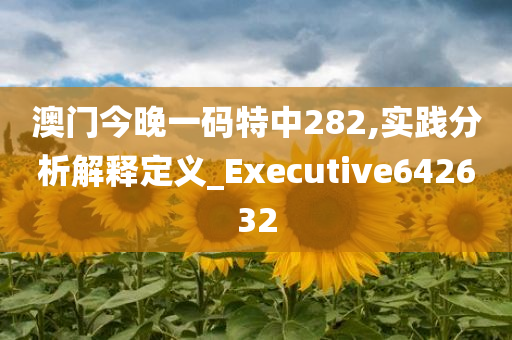 澳门今晚一码特中282,实践分析解释定义_Executive642632