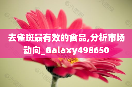 去雀斑最有效的食品,分析市场动向_Galaxy498650