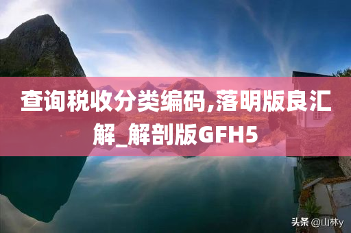 查询税收分类编码,落明版良汇解_解剖版GFH5