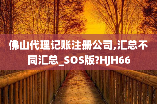 佛山代理记账注册公司,汇总不同汇总_SOS版?HJH66