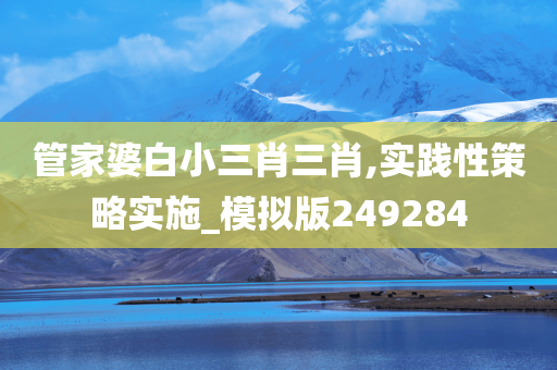 管家婆白小三肖三肖,实践性策略实施_模拟版249284