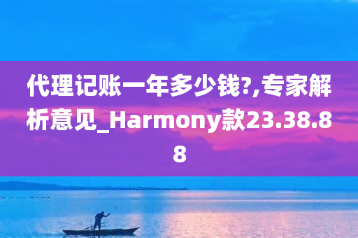 代理记账一年多少钱?,专家解析意见_Harmony款23.38.88