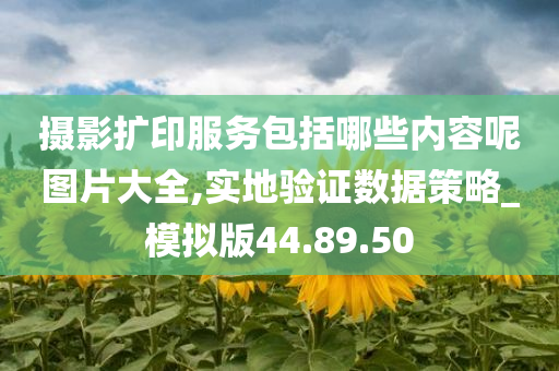 摄影扩印服务包括哪些内容呢图片大全,实地验证数据策略_模拟版44.89.50