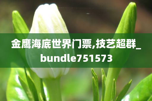 金鹰海底世界门票,技艺超群_bundle751573