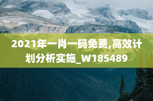 2021年一肖一码免费,高效计划分析实施_W185489