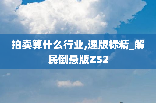 拍卖算什么行业,速版标精_解民倒悬版ZS2