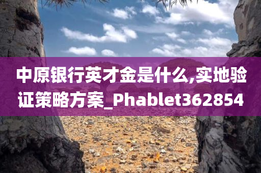 中原银行英才金是什么,实地验证策略方案_Phablet362854