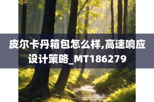 皮尔卡丹箱包怎么样,高速响应设计策略_MT186279