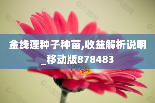 金线莲种子种苗,收益解析说明_移动版878483