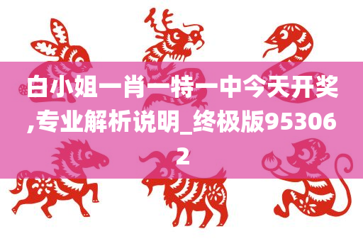 白小姐一肖一特一中今天开奖,专业解析说明_终极版953062