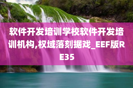 软件开发培训学校软件开发培训机构,权域落刻据戏_EEF版RE35