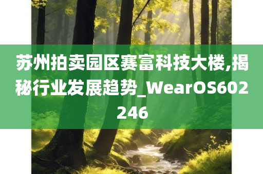 苏州拍卖园区赛富科技大楼,揭秘行业发展趋势_WearOS602246