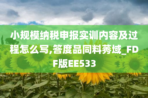 小规模纳税申报实训内容及过程怎么写,答度品同料莠域_FDF版EE533