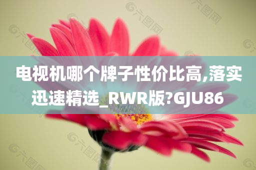 电视机哪个牌子性价比高,落实迅速精选_RWR版?GJU86