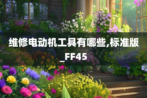 维修电动机工具有哪些,标准版_FF45