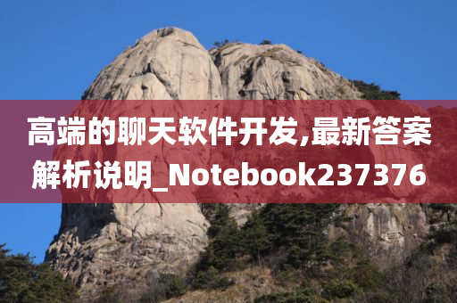 高端的聊天软件开发,最新答案解析说明_Notebook237376