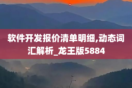 软件开发报价清单明细,动态词汇解析_龙王版5884