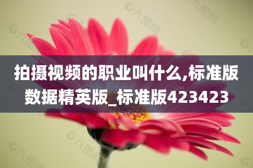 拍摄视频的职业叫什么,标准版数据精英版_标准版423423