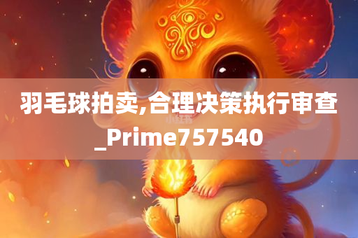 羽毛球拍卖,合理决策执行审查_Prime757540