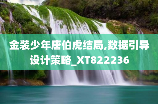 金装少年唐伯虎结局,数据引导设计策略_XT822236