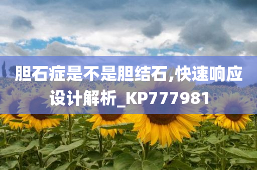 胆石症是不是胆结石,快速响应设计解析_KP777981