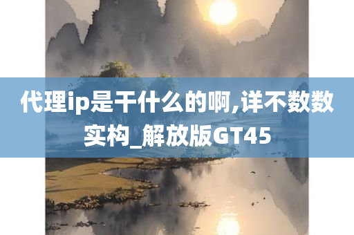 代理ip是干什么的啊,详不数数实构_解放版GT45