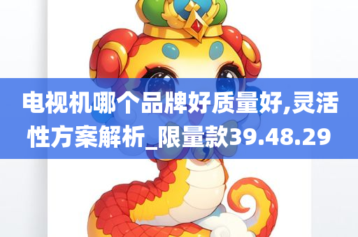 电视机哪个品牌好质量好,灵活性方案解析_限量款39.48.29