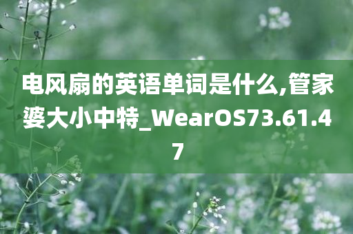 电风扇的英语单词是什么,管家婆大小中特_WearOS73.61.47