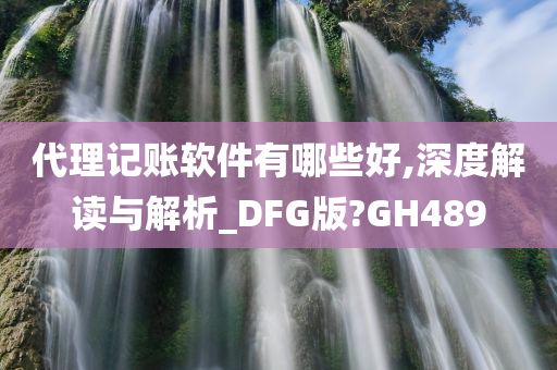 代理记账软件有哪些好,深度解读与解析_DFG版?GH489