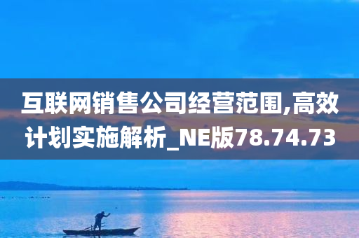 互联网销售公司经营范围,高效计划实施解析_NE版78.74.73