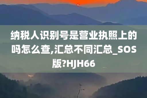 纳税人识别号是营业执照上的吗怎么查,汇总不同汇总_SOS版?HJH66