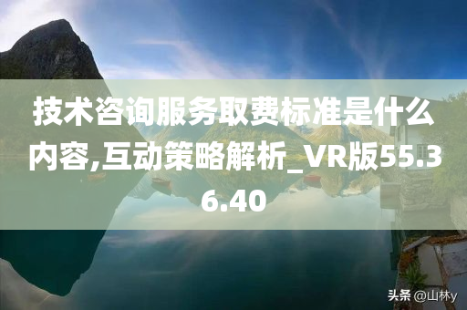 技术咨询服务取费标准是什么内容,互动策略解析_VR版55.36.40