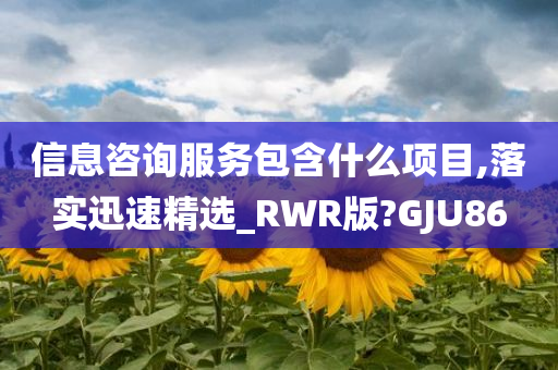 信息咨询服务包含什么项目,落实迅速精选_RWR版?GJU86