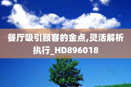 餐厅吸引顾客的金点,灵活解析执行_HD896018