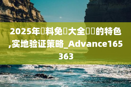 2025年資料免費大全優勢的特色,实地验证策略_Advance165363