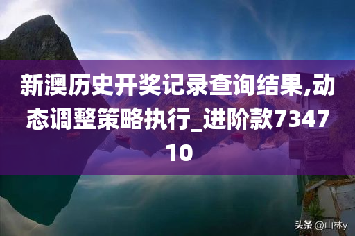 新澳历史开奖记录查询结果,动态调整策略执行_进阶款734710