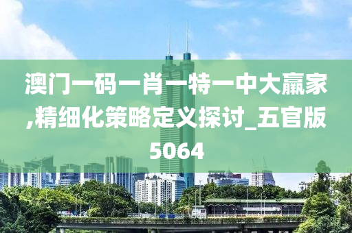 澳门一码一肖一特一中大羸家,精细化策略定义探讨_五官版5064