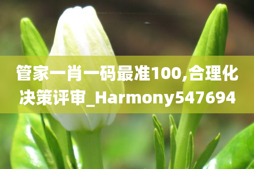 管家一肖一码最准100,合理化决策评审_Harmony547694