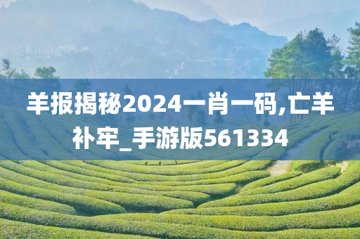 羊报揭秘2024一肖一码,亡羊补牢_手游版561334