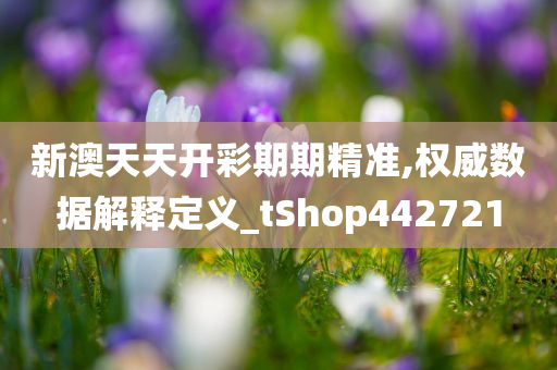 新澳天天开彩期期精准,权威数据解释定义_tShop442721