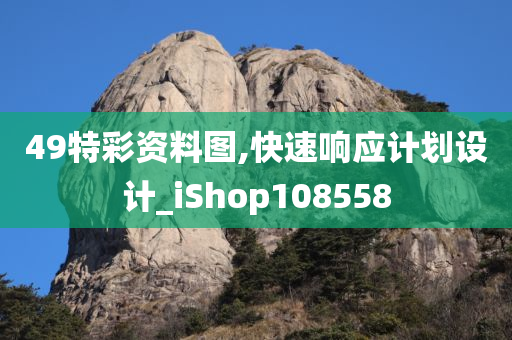 49特彩资料图,快速响应计划设计_iShop108558